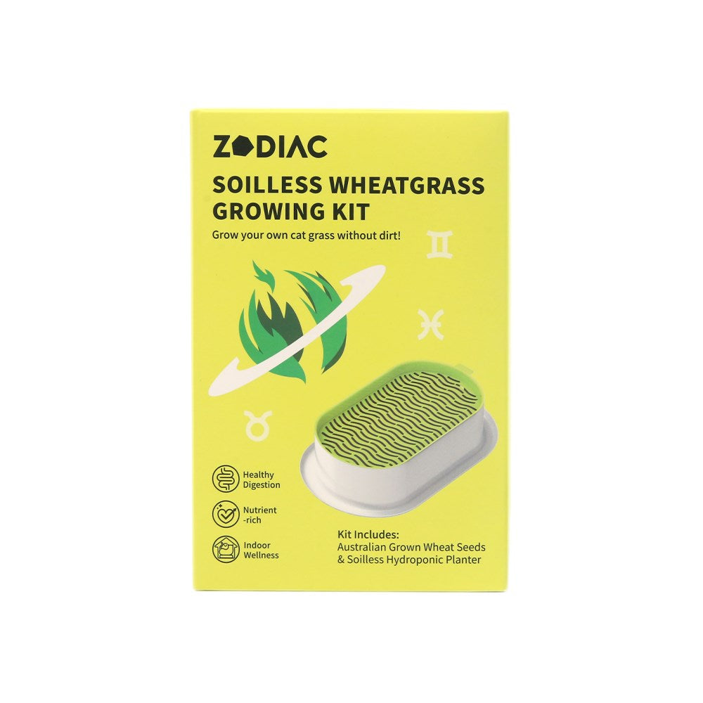 ZODIAC Soilless Wheatgrass Growing Kit - Yellow