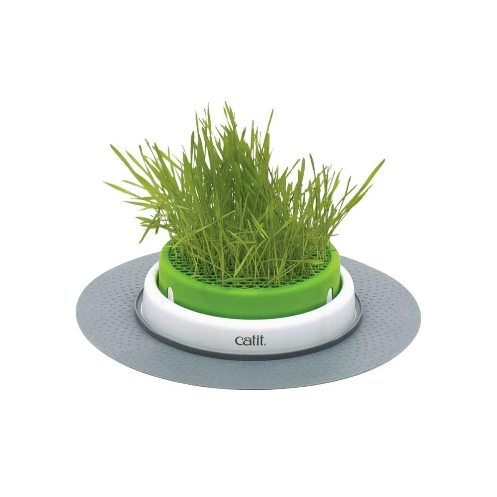 CATIT 2.0 Catgrass Seed