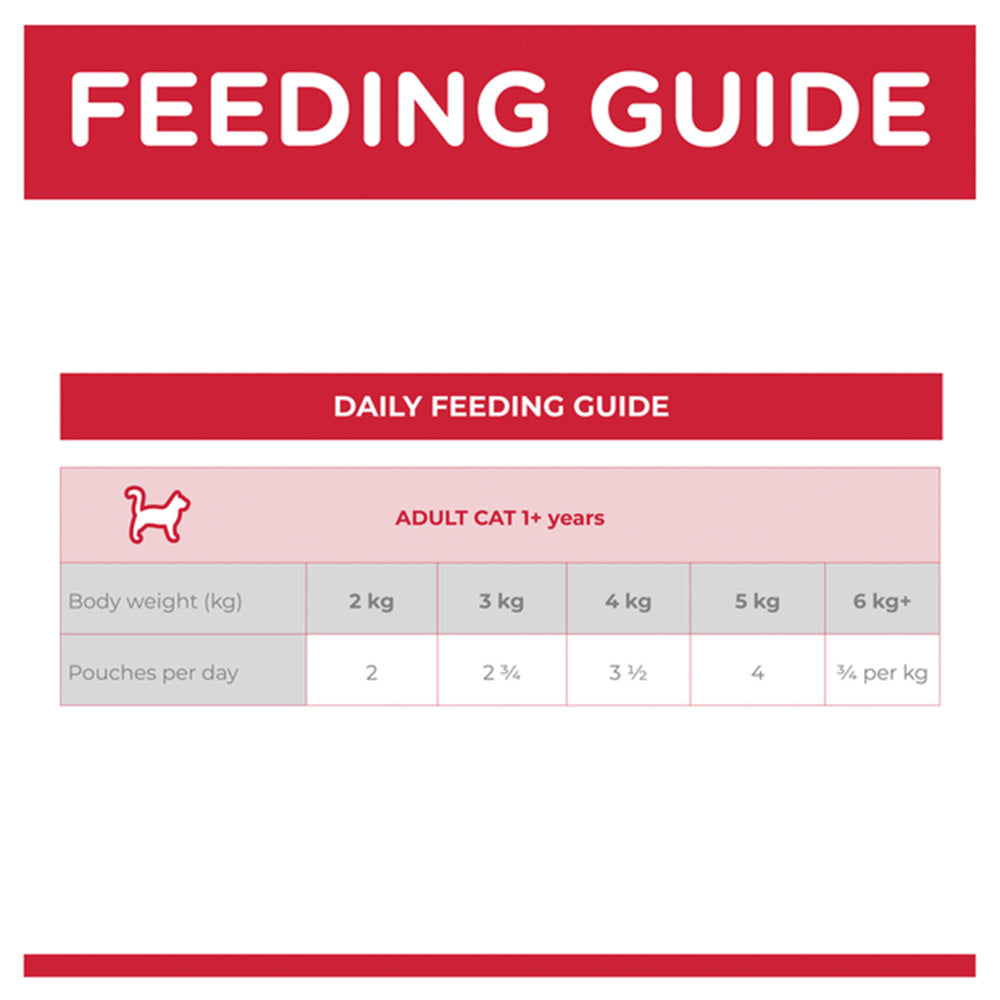 HILLS Science Diet Perfect Weight Chicken Adult Wet Cat Food 85g x 12