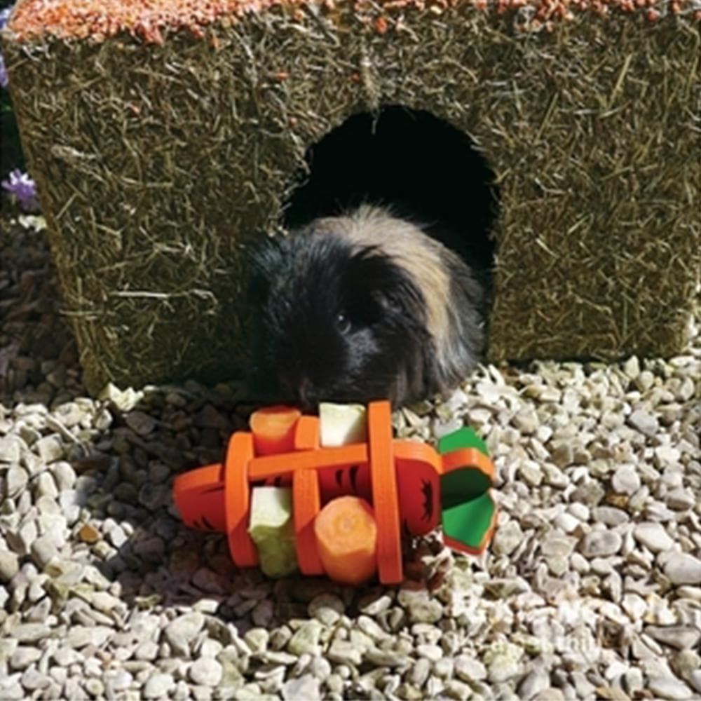 ROSEWOOD Woodies 3D Carrot Small Animal Activity Toy