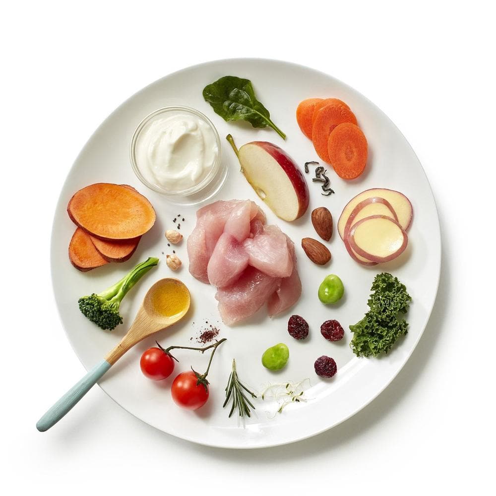 PURE LIFE Natural Boost Chicken Grain Free Cat Food for Kittens 1.5kg