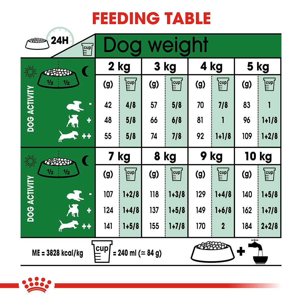 ROYAL CANIN Mini Ageing 12+ Dry Dog Food 1.5kg