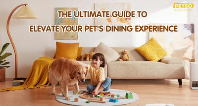 The Ultimate Guide to Elevate Your Pet's Dining Experience
