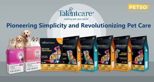 Talentail Featured Blog image