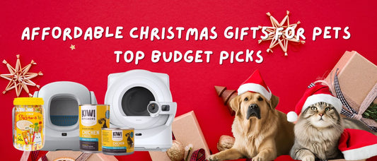 Affordable Christmas Gifts for Pets: Top Budget Picks