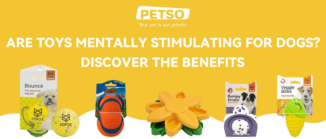 Are Toys Mentally Stimulating for Dogs? Discover the Benefits