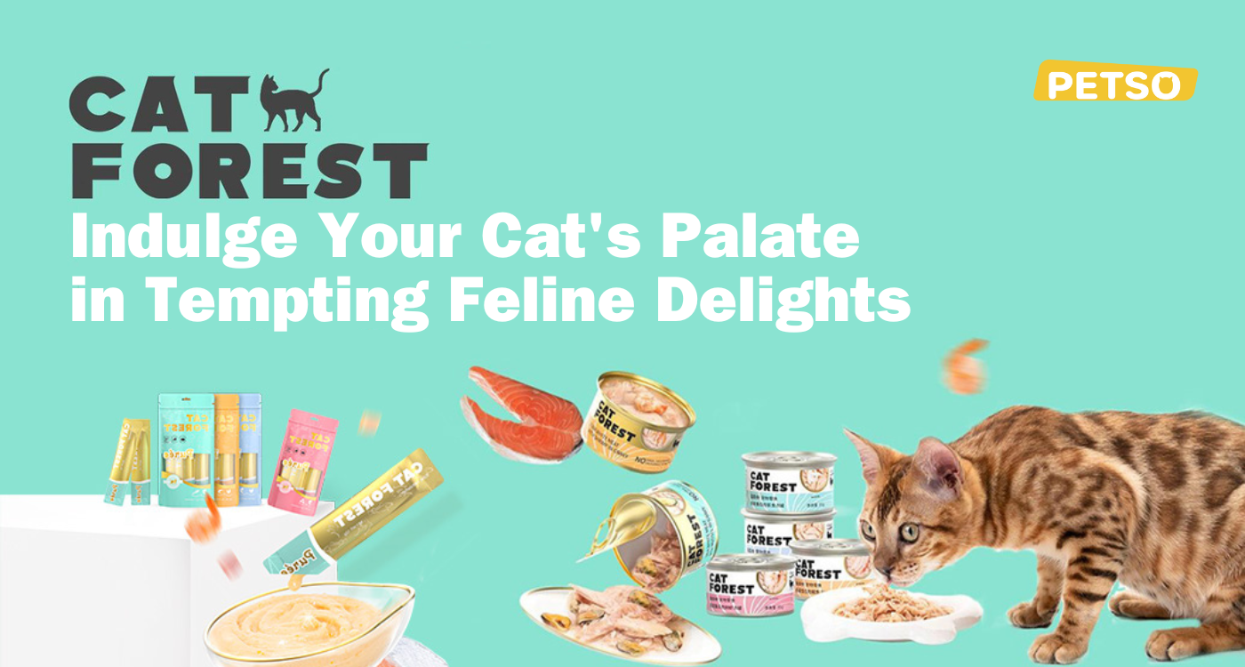 Cat Forest: Indulge Your Cat's Palate in Tempting Feline Delights