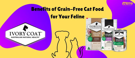 Benefits of Grain-Free Cat Food for Your Feline