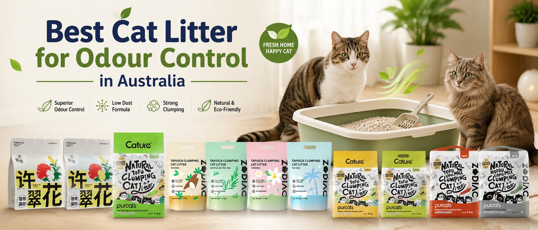 Best Cat Litter for Odour Control in Australia