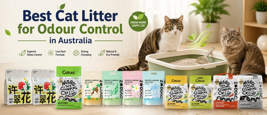 Best Cat Litter for Odour Control in Australia