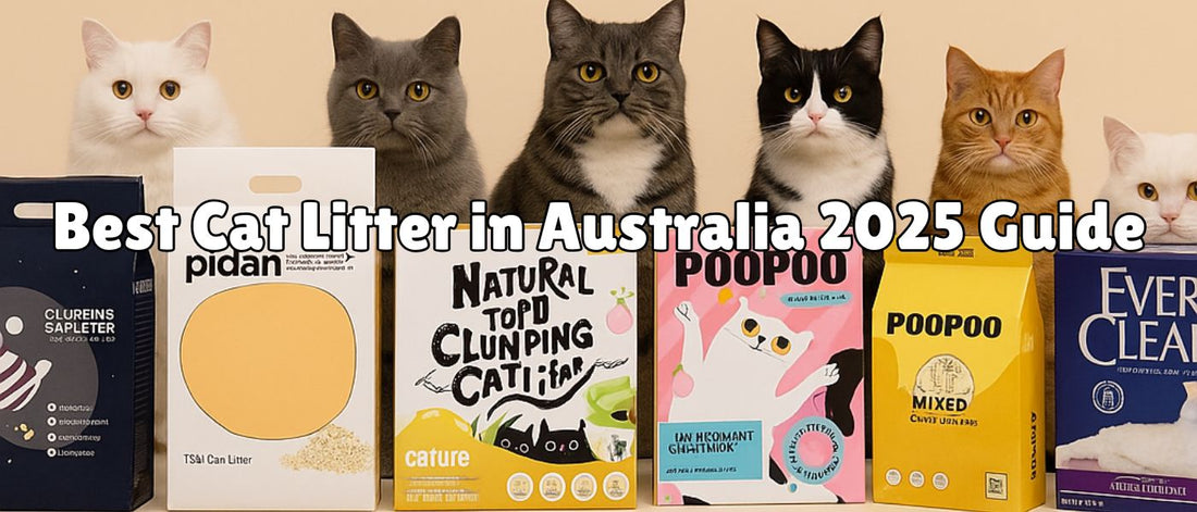 Best Cat Litter in Australia 2025 Guide