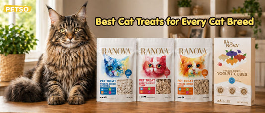 Best Cat Treats for Every Cat Breed