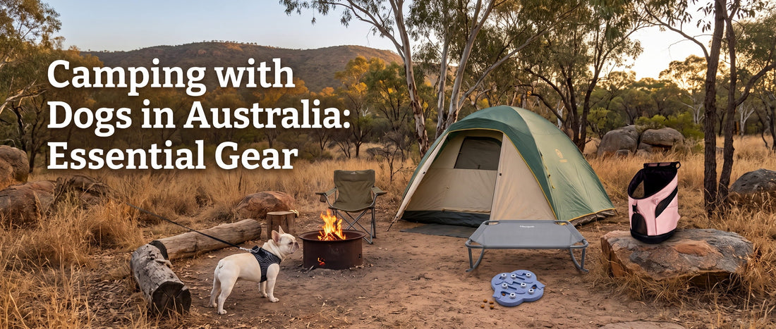 Camping with Dogs in Australia: Essential Gear