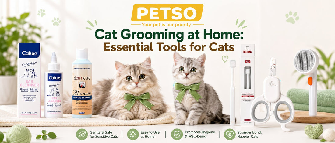 Cat Grooming at Home: Essential Tools for Cats
