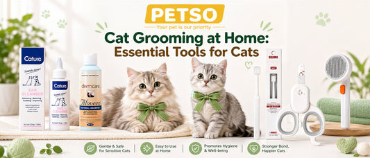Cat Grooming at Home: Essential Tools for Cats