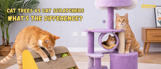Cat Trees vs Cat Scratchers: What’s the Difference?