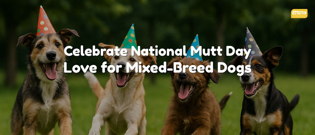 Celebrate National Mutt Day: Love for Mixed-Breed Dogs