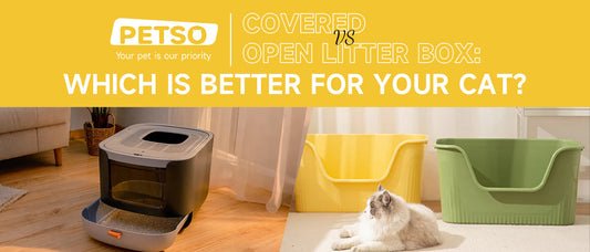 Covered vs Open Litter Box: Which is Better for Your Cat?