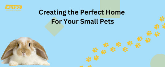 Creating the Perfect Home for Your Small Pets