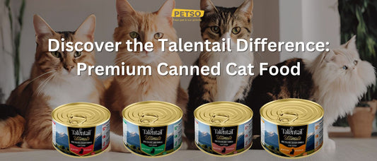 Discover the Talentail Difference: Premium Canned Cat Food