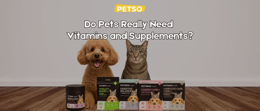 Do Pets Really Need Vitamins and Supplements?