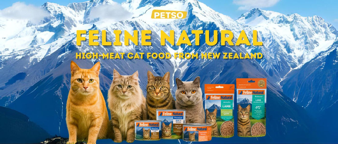 Feline Natural: High-Meat Cat Food from New Zealand