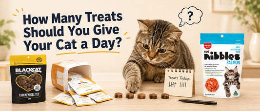 How Many Treats Should You Give Your Cat a Day?
