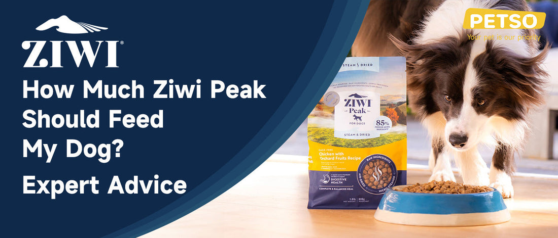 How Much Ziwi Peak Should Feed My Dog? Expert Advice