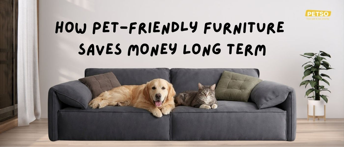 How Pet-Friendly Furniture Saves Money Long Term