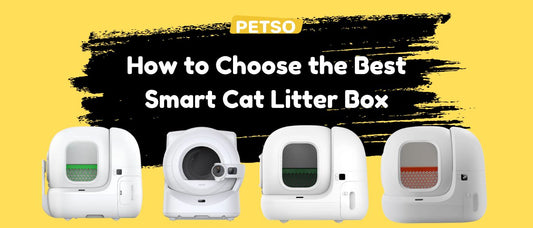 How to Choose the Best Smart Cat Litter Box