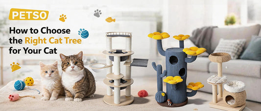 How to Choose the Right Cat Tree for Your Cat