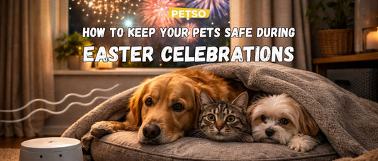How to Keep Your Pets Safe During Easter Celebrations