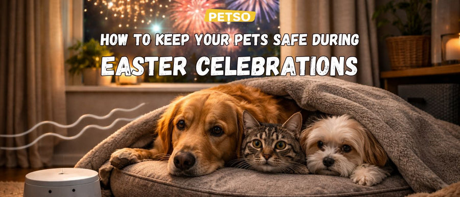 How to Keep Your Pets Safe During Easter Celebrations
