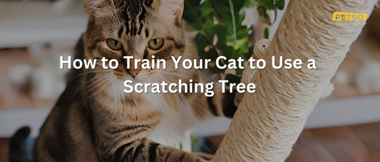 Cat Scratching Tree