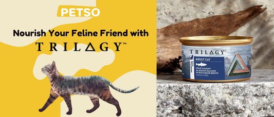 Nourish Your Feline Friend with TRILOGY