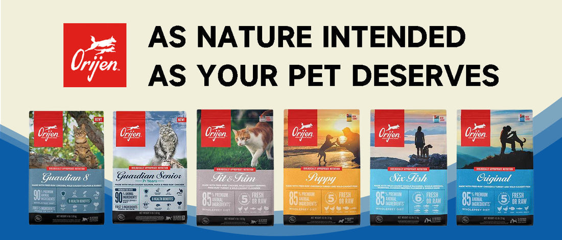 Why is Orijen Cat Food a Top Choice for Your Feline’s Health?