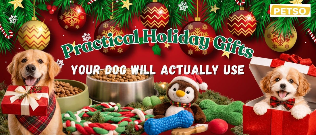 Practical Holiday Gifts Your Dog Will Actually Use