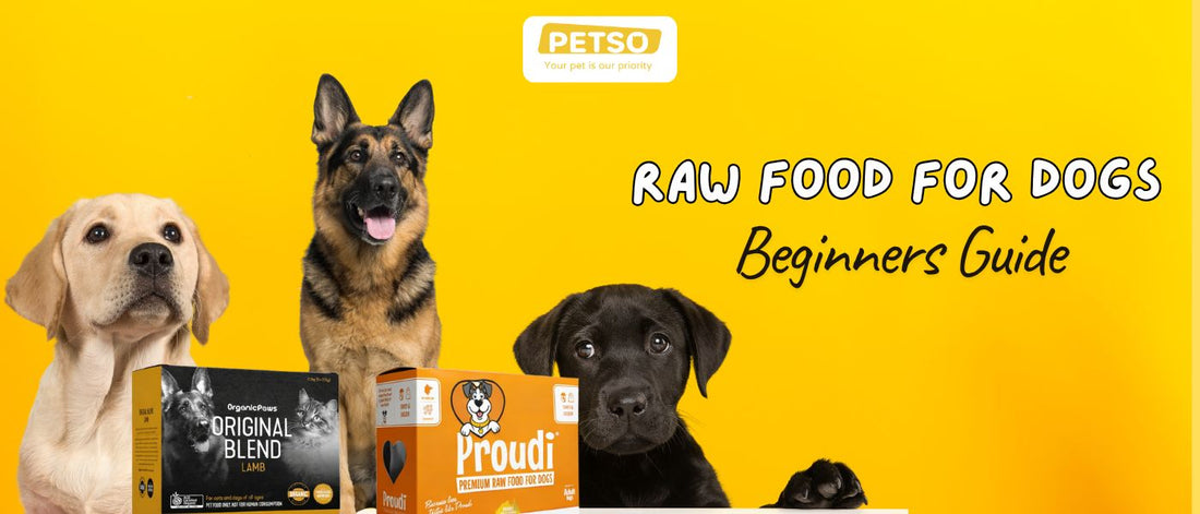 Raw Food for Dogs: A Beginner’s Guide