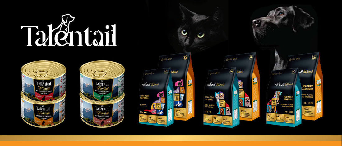 How To Make The Right Selection Between Orijen Cat Food, Talentail And Zealandia?