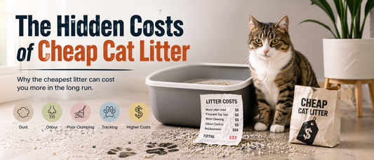 The Hidden Costs of Cheap Cat Litter