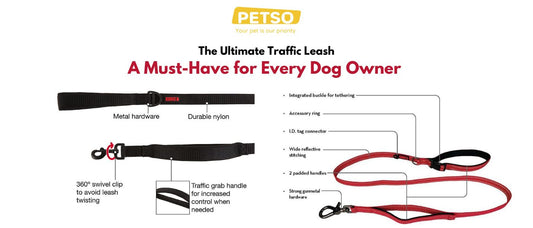 Traffic Leash for Dogs