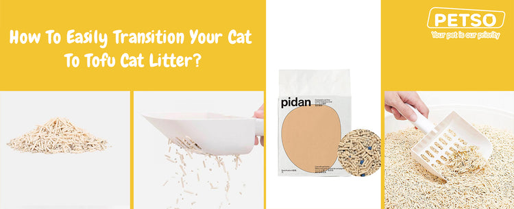 How To Easily Transition Your Cat To Tofu Cat Litter? – Petso