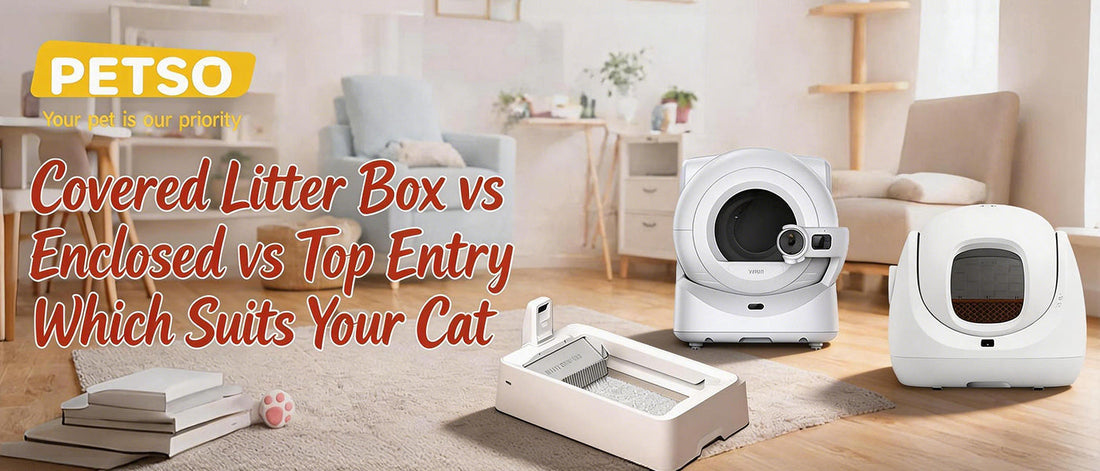 Top Entry vs. Covered vs. Enclosed Cat Litter Boxes: Which One Is Right for Your Cat?