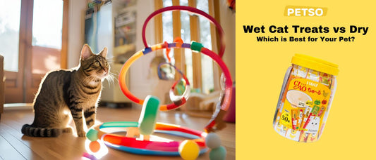 Wet Cat Treats vs Dry: Which is Best for Your Pet?