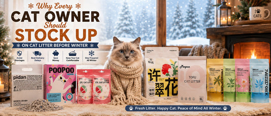 Why Every Cat Owner Should Stock Up on Cat Litter Before Winter