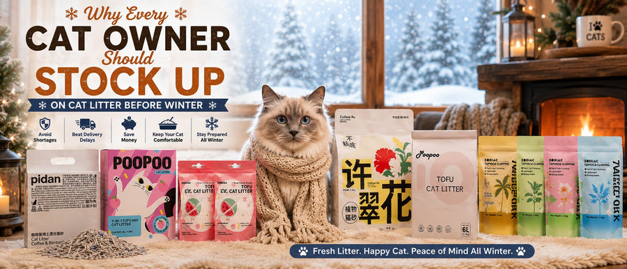 Why Every Cat Owner Should Stock Up on Cat Litter Before Winter