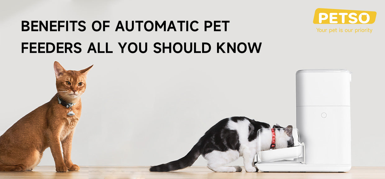 Benefits of Automatic Pet Feeders