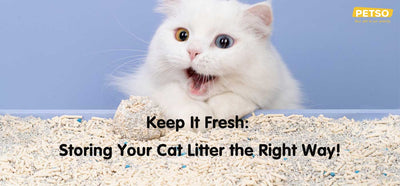 Keep It Fresh: Storing Your Cat Litter the Right Way!