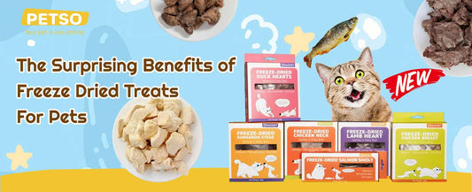 Freeze Dried Treats for Pets