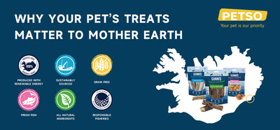 Eco-friendly Pet Treats